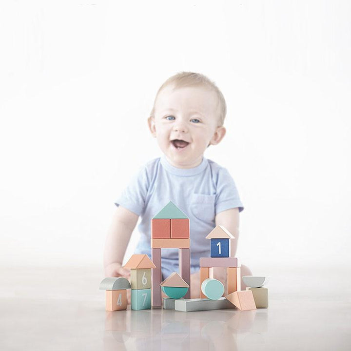 Babycare Building Blocks (81pcs) - quixoticmuses