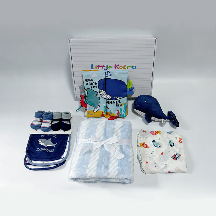 New Born Baby Boy quixoticmuses Brand Gift Box 14 Pcs Whale Shark Ocean Set - quixoticmuses