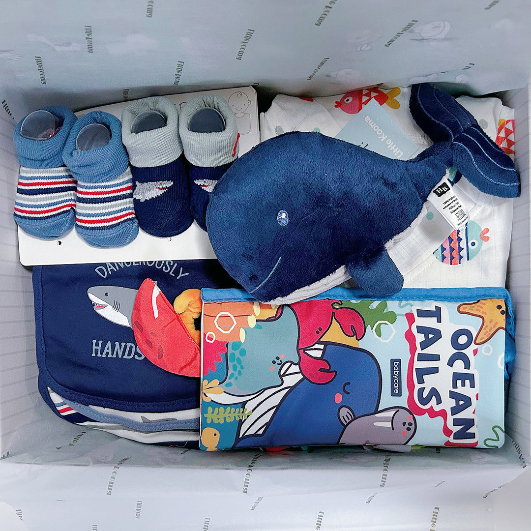 New Born Baby Boy quixoticmuses Brand Gift Box 14 Pcs Whale Shark Ocean Set - quixoticmuses