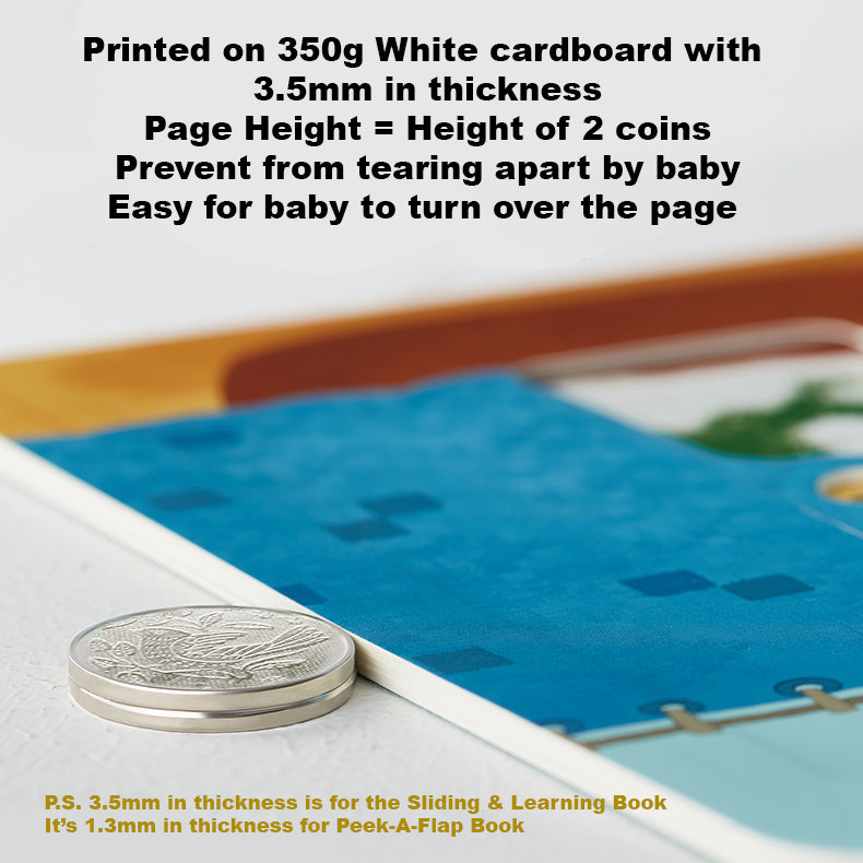 Babycare Sliding & Learning Book Peek-A-Flap Book - quixoticmuses